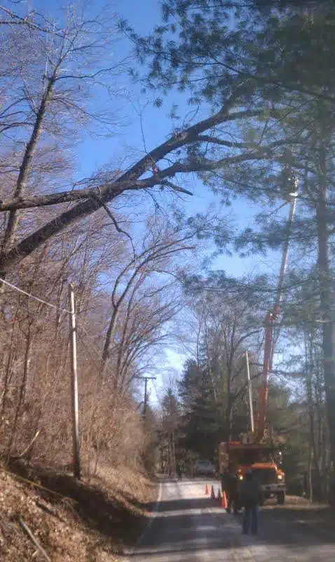 fallen-tree-on-power-lines