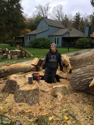 team-member-standing-in-giant-tree-stump