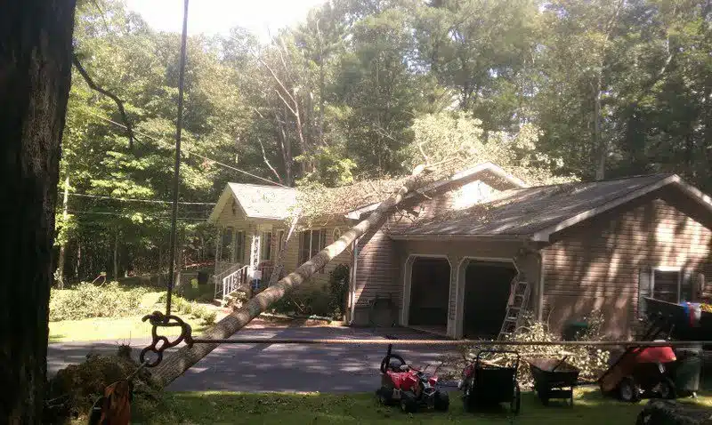 tree-damaged-house