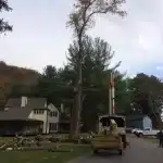 Why January Is a Great Time for Tree Removal in Stroudsburg