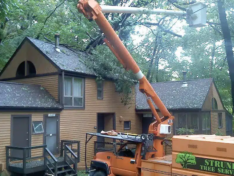 tree-removal-service-on-site-for-storm-cleanup