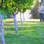The Importance of Tree Preservation with Strunk Tree Service