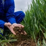 Boost Your Yard’s Soil Health for a Vibrant 2024