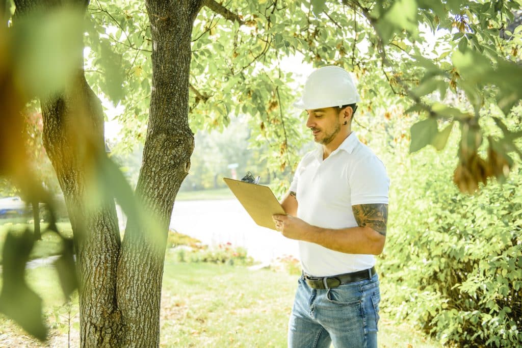 Tree Preservation 1